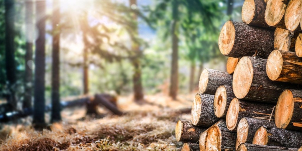 Iranian war strands global timber shipments, but Arkansas impacts&nbsp;minimal