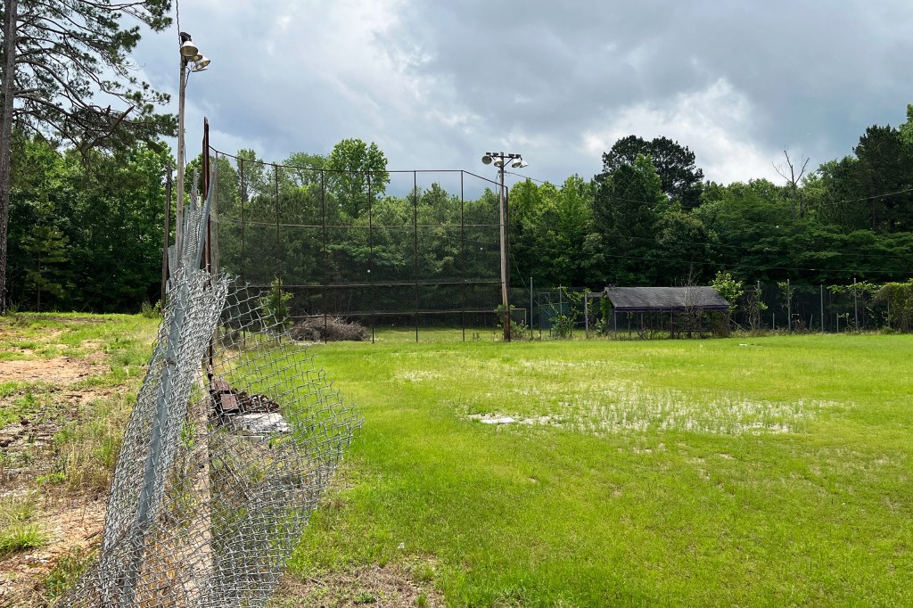Nonprofit to be created in effort to acquire baseball&nbsp;fields