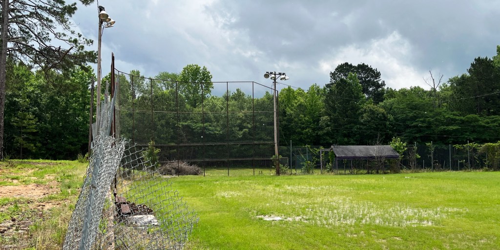 Nonprofit to be created in effort to acquire baseball&nbsp;fields